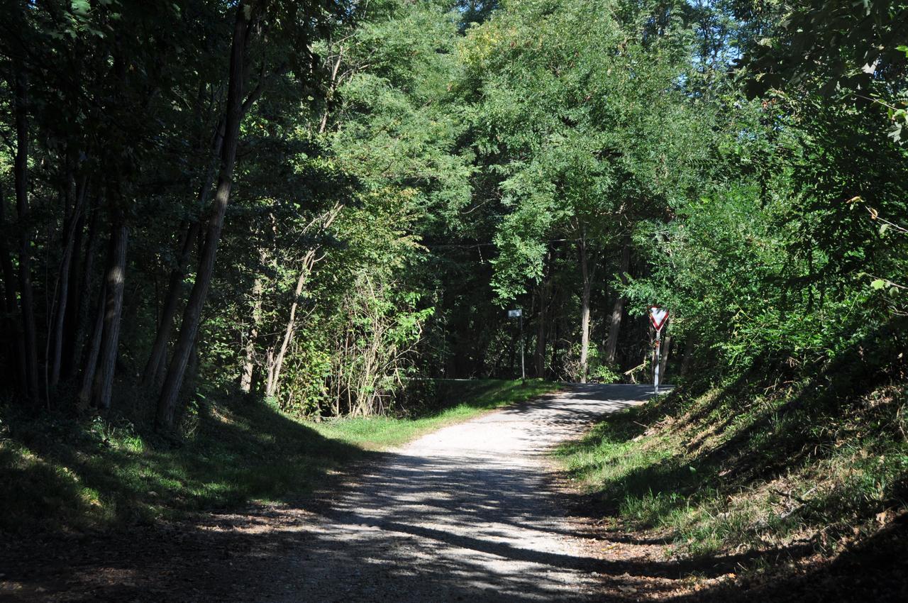 Giavera del Montello Villa Fior Di Robinia المظهر الخارجي الصورة